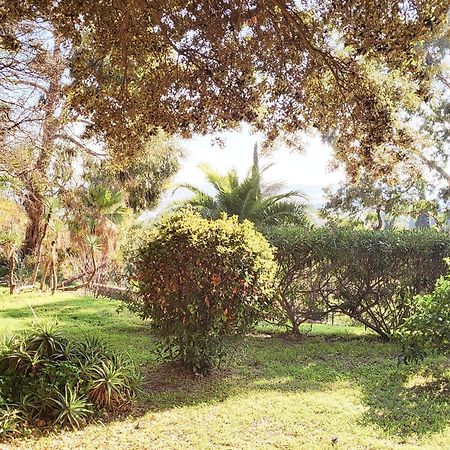 La Suite Costabella A Hyeres-Les-Palmiers Bagian luar foto